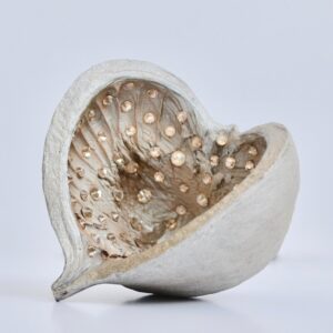 Petite Pods, Crystal Champagne