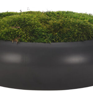 Moss Bowl