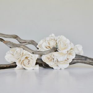 Reclining Rose