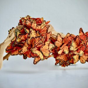 Monarch Butterflies in Orange