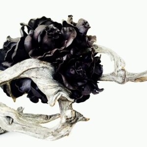 Reclining Roses, Noir