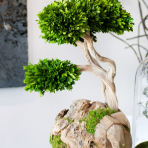 Privet Sphere