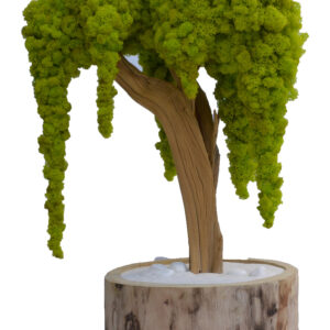 Weeping Lichen Sculpture